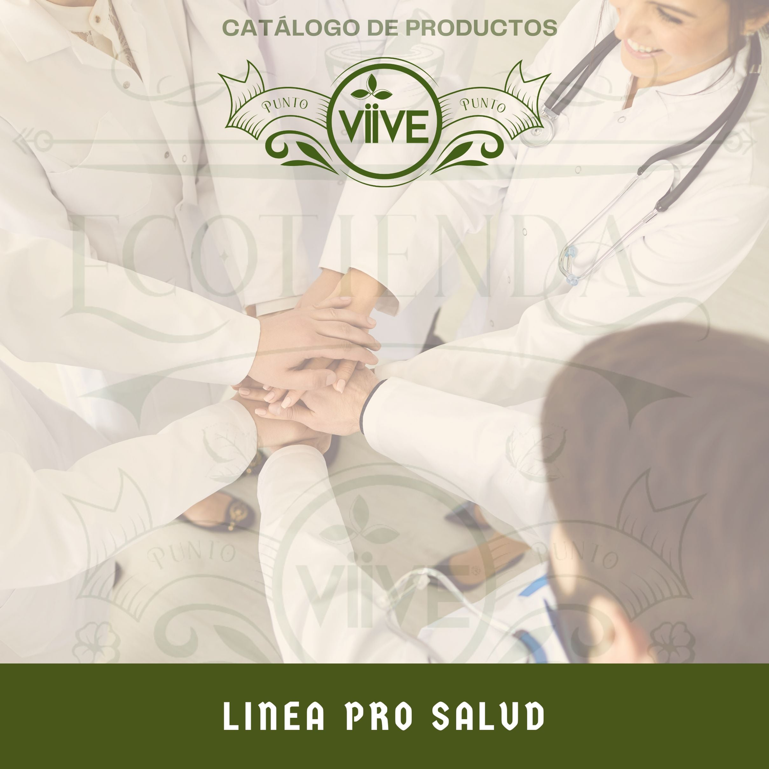 LINEA PRO - SALUD